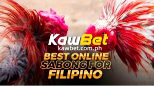 Sabong Live Today 2024 is set to be an exhilarating experience for fans and bettors alike.With over 500,000 viewers tuning in, this event promises to be the highlight of the year.